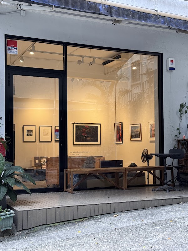 Blue Lotus Gallery 2