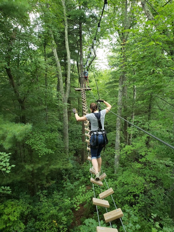 TreeTop Adventures 4