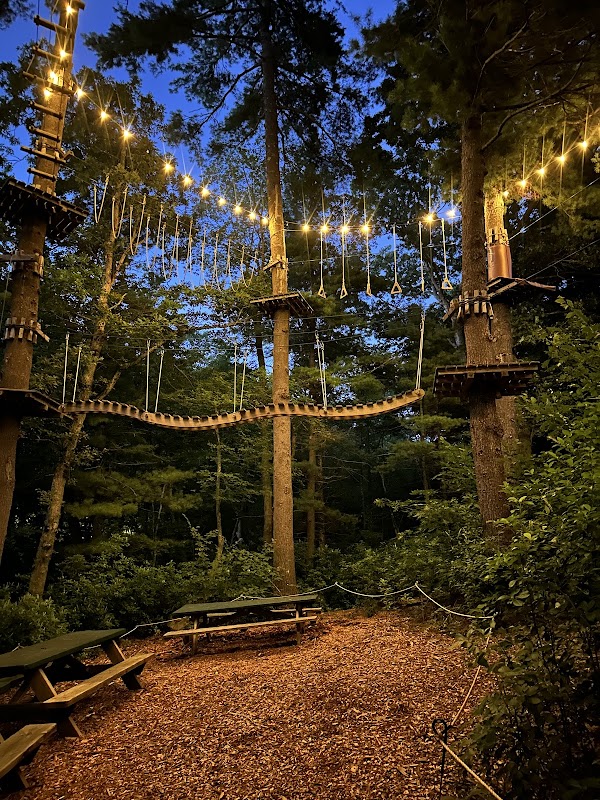 TreeTop Adventures 3