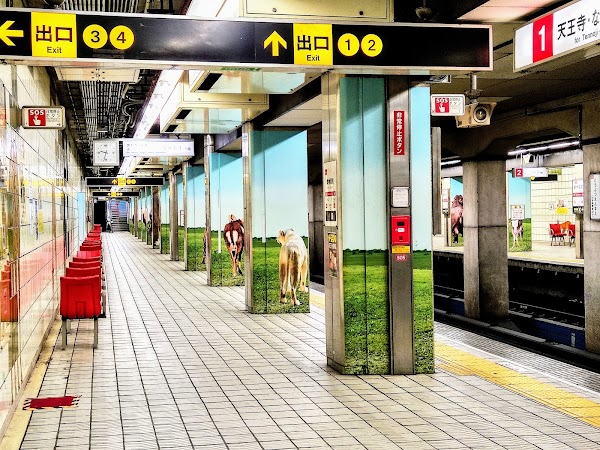 Dobutsuen-Mae Station 5