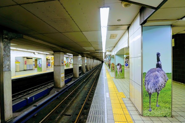 Dobutsuen-Mae Station 4