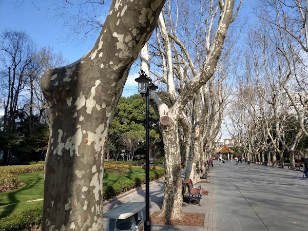 Shaanxi South Road 5