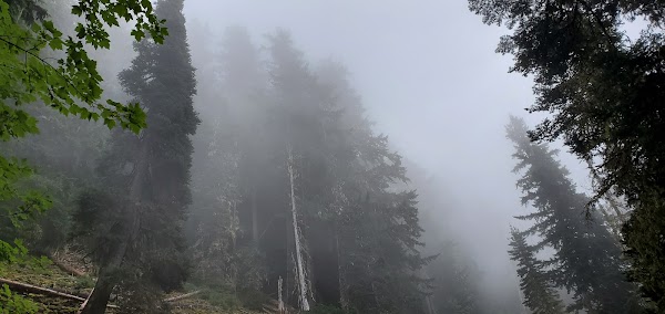 Panorama Ridge 2