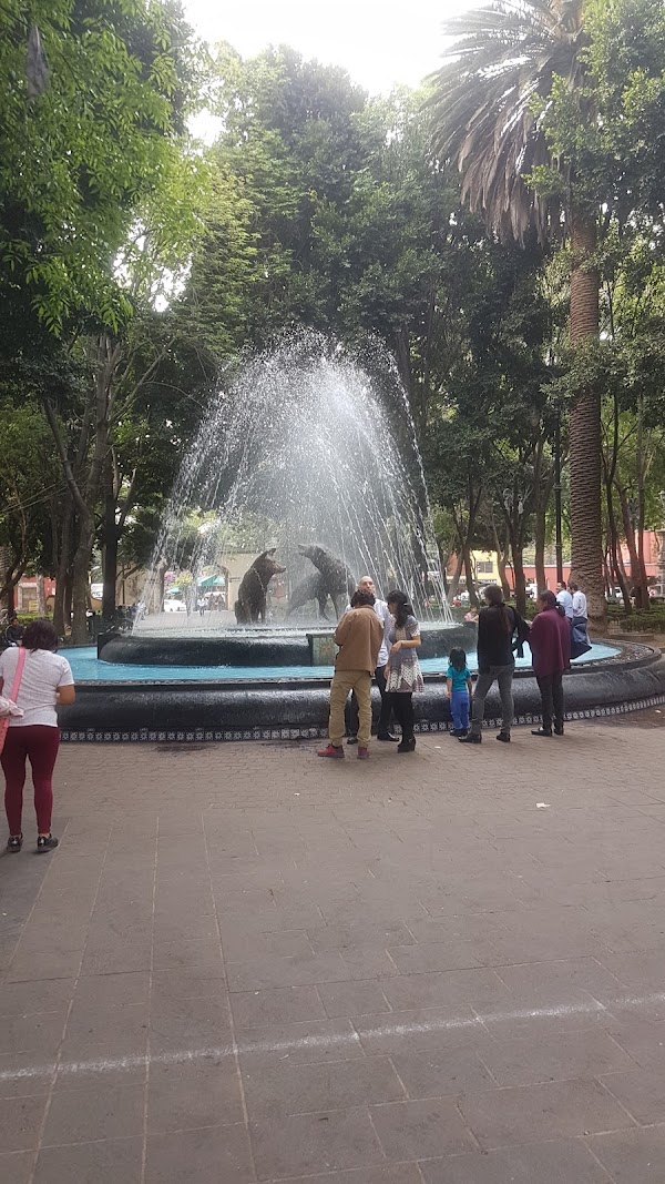 Jardín Centenario 5