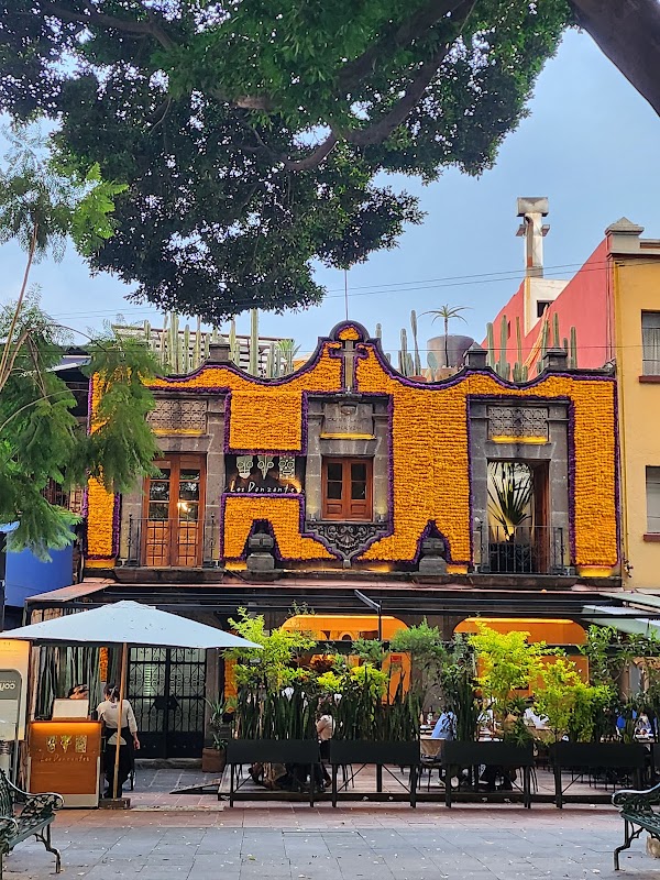 Jardín Centenario 3