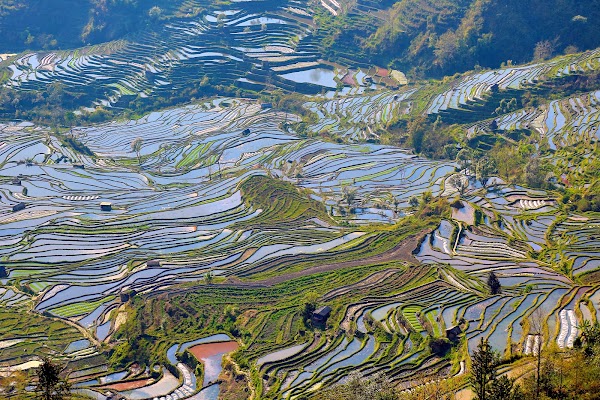 China 8