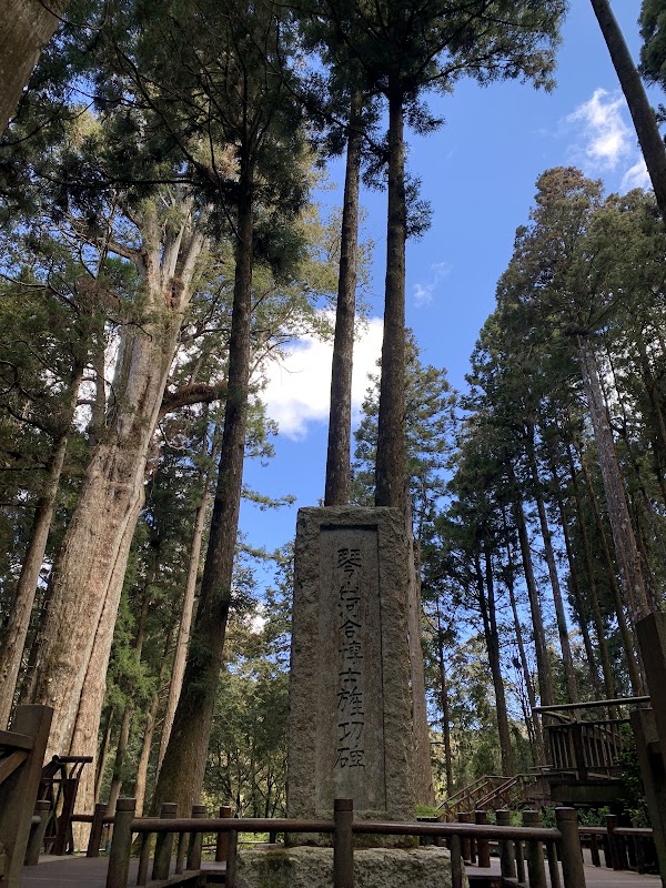 Xianglin Giant Tree 4