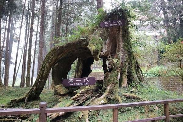 Xianglin Giant Tree 2