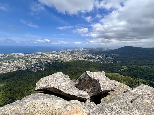 Brokers Nose
