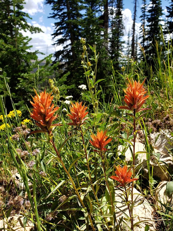 Crystal Lake Trailhead 3