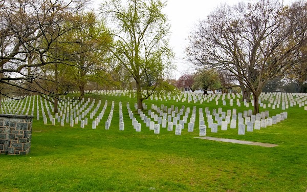 Arlington National Cemetery 5