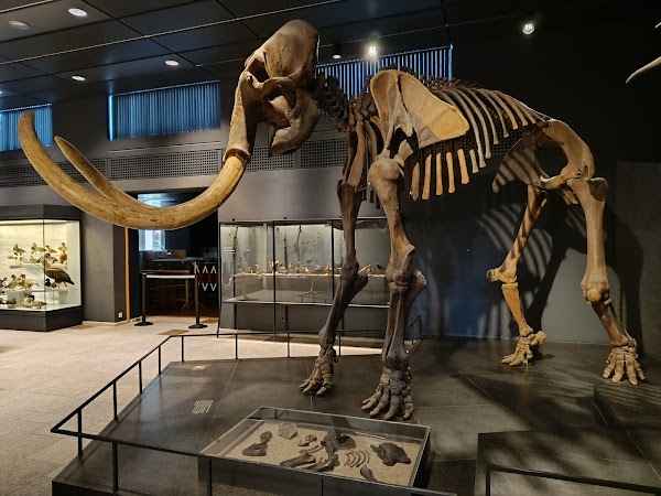Natural History Museum of the University of Zurich