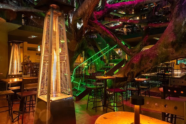 Tree House | Restaurant in Monteverde
