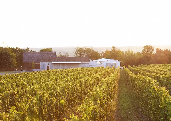 Hermann J. Wiemer Vineyard