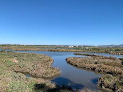 Parque Natural da Ria Formosa