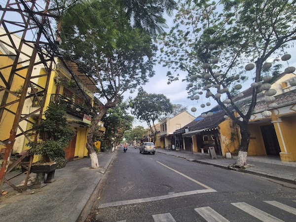 Bay Mau Coconut Forest 1