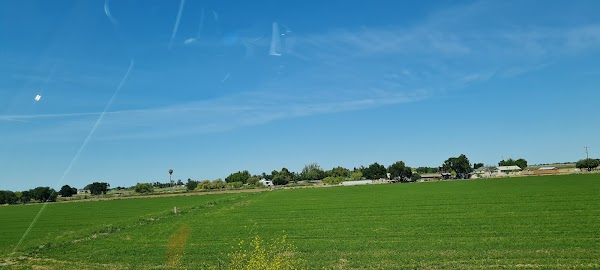Tracy 3