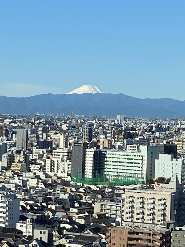 JAPAN 74