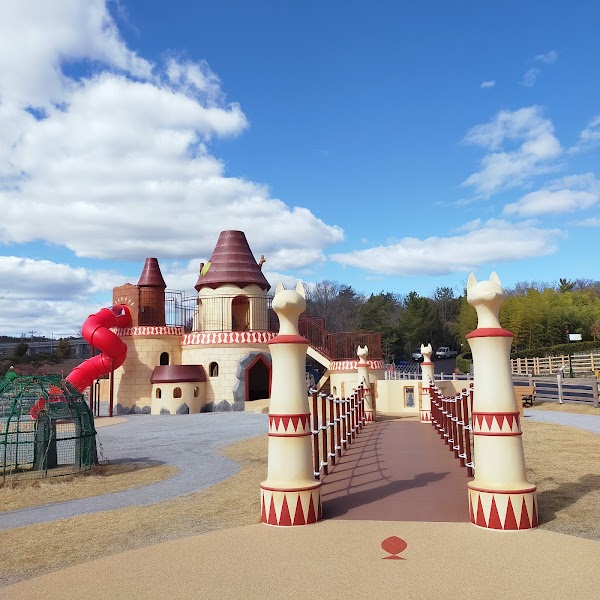 Cat Castle Playground 1