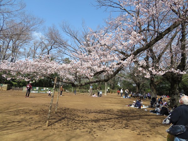 Ikuta Ryokuchi Park 4