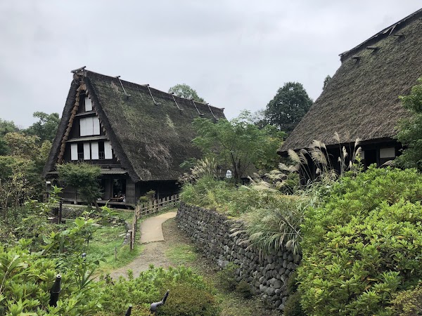 Ikuta Ryokuchi Park 3