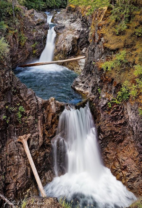Little Qualicum Falls Provincial Park