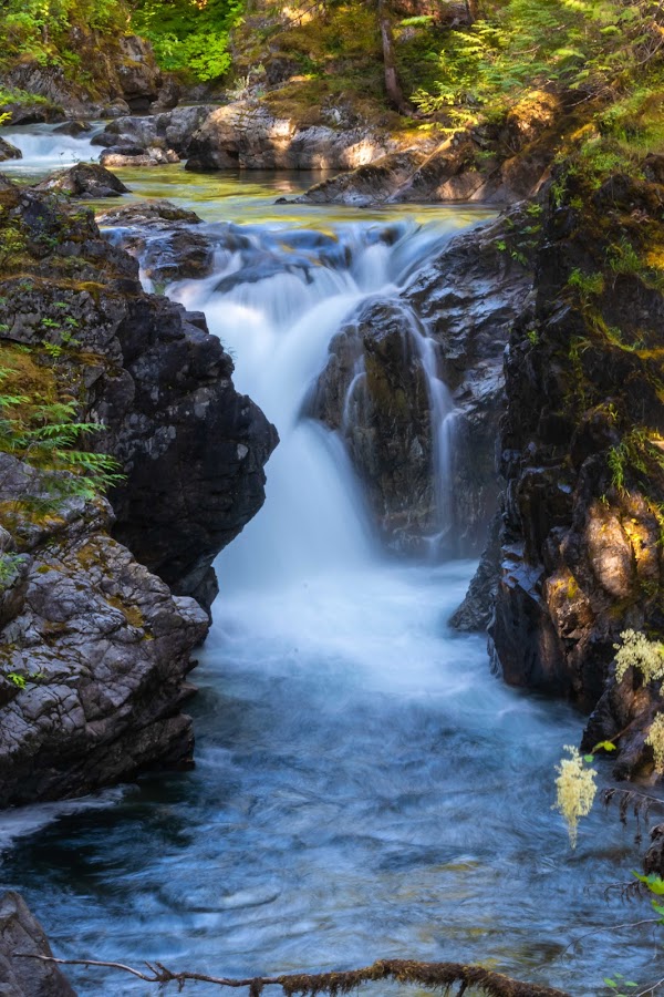 Little Qualicum Falls Provincial Park 5