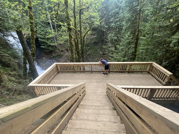 Little Qualicum Falls Provincial Park 4