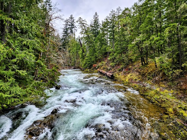 Little Qualicum Falls Provincial Park 3