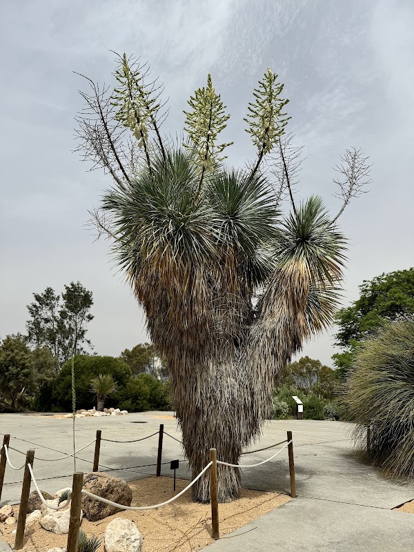 Barcelona Botanical Garden 3