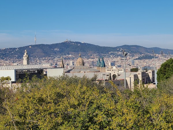 Barcelona Botanical Garden 2