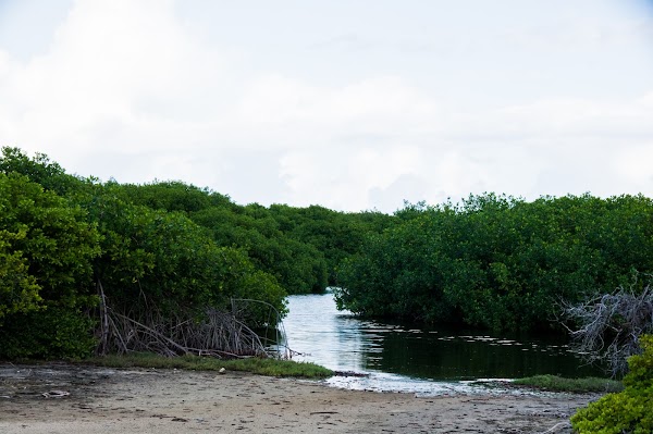 Lac Bay 5