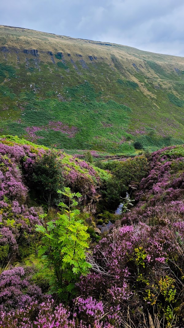 Crowden