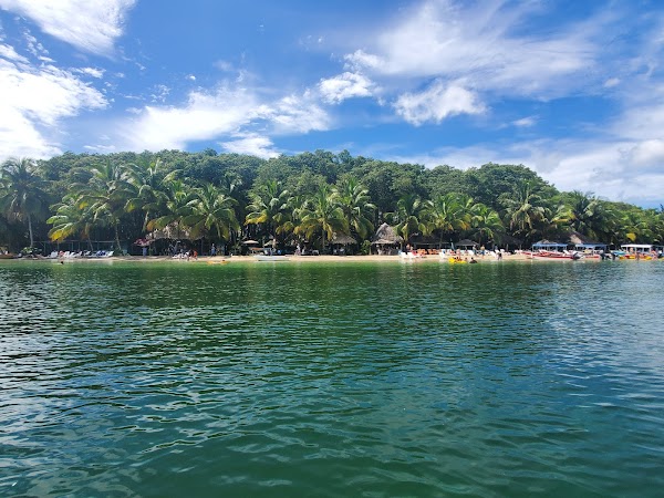 Starfish Beach 1