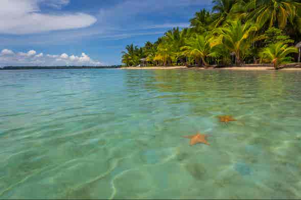 Starfish Beach 5