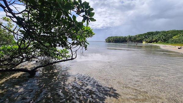 Starfish Beach 3