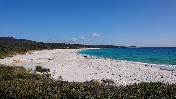 Swimcart Beach