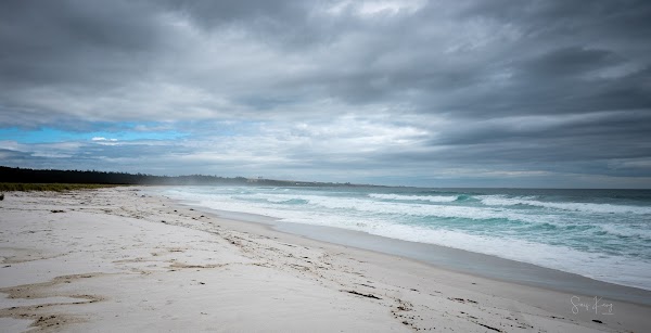 Swimcart Beach 2