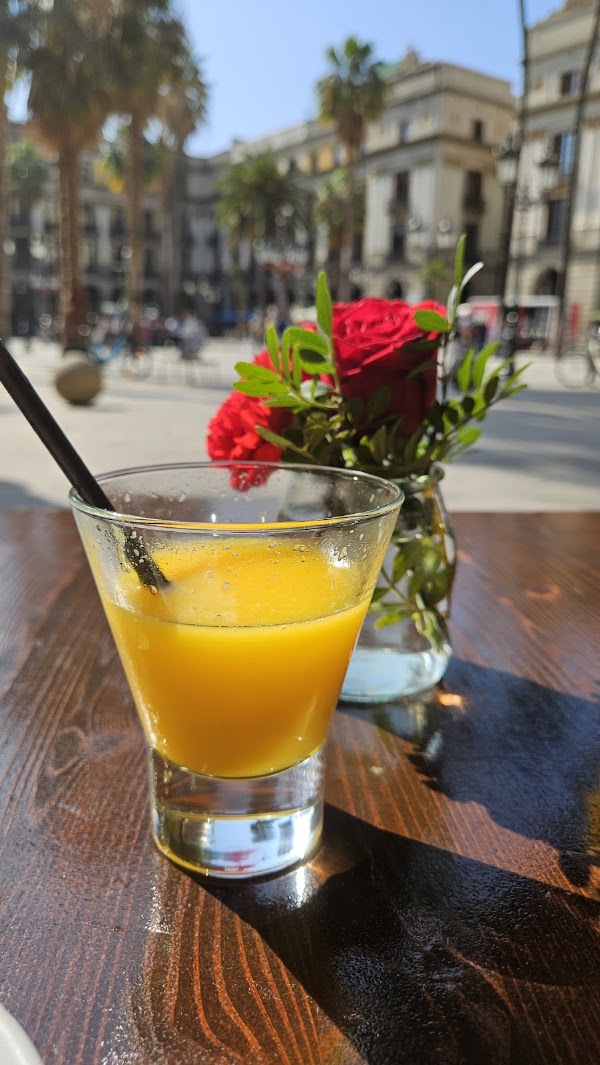 Plaza Real de Cataluña España 4