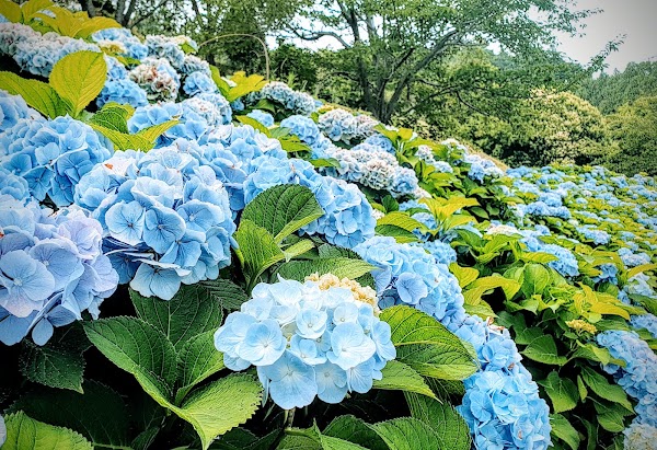 Yi Sun-Sin Park 2
