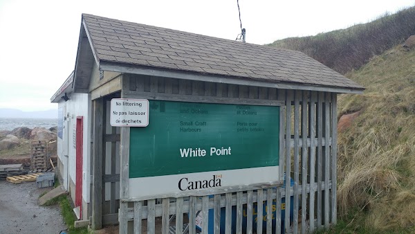 White Point