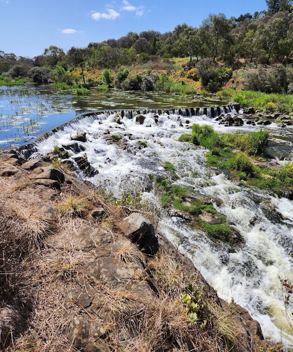 Buckley Falls