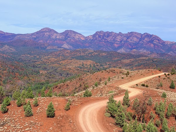 Razorback Lookout