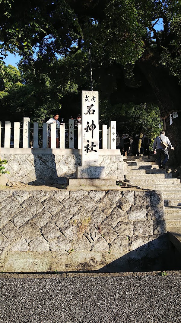 Kashiwara 5