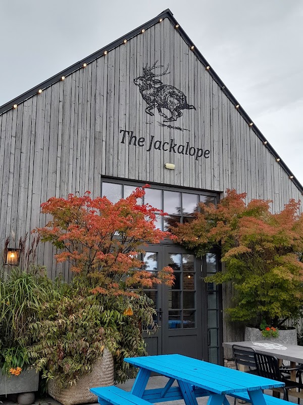 The Jackalope Cafe 1