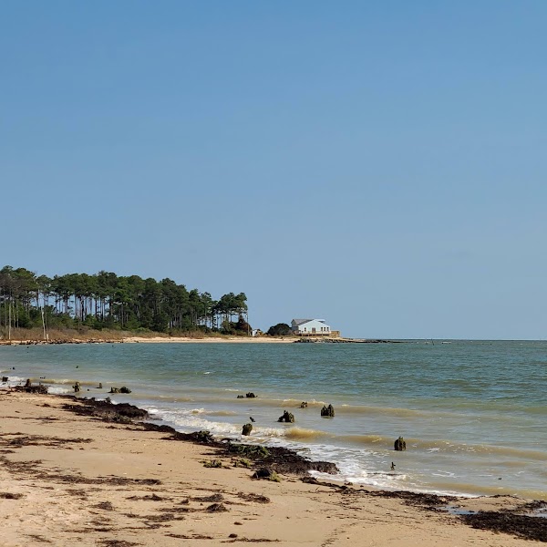 Bethel Beach Natural Area Preserve