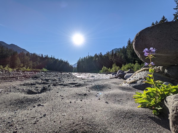 Carbon River 1