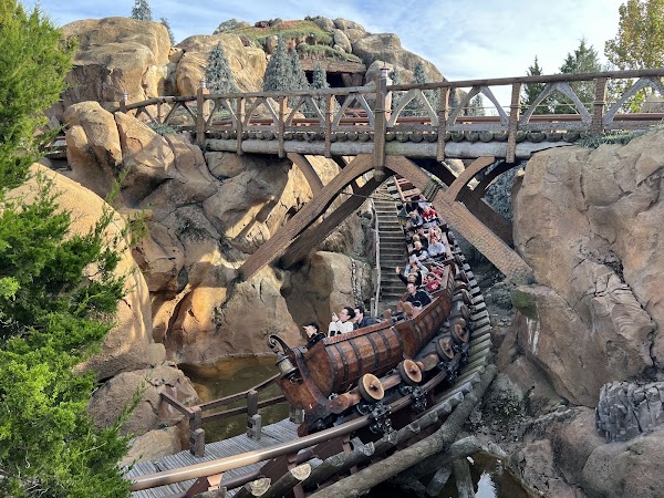 Seven Dwarfs Mine Train 5