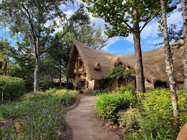 Seven Dwarfs Mine Train 4