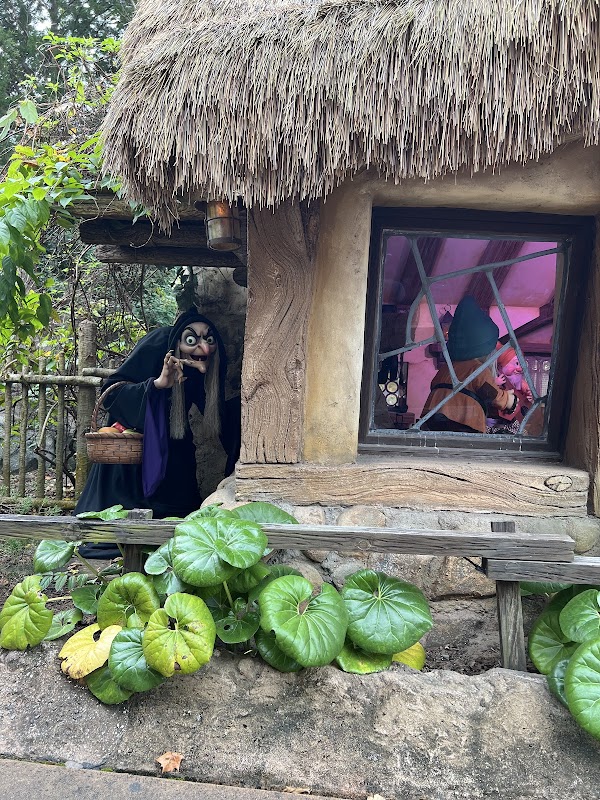 Seven Dwarfs Mine Train 2